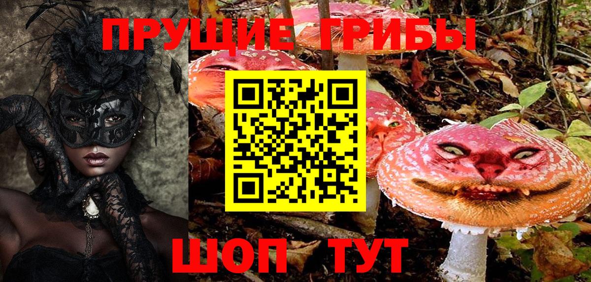 Галлюциногенные грибы Magic Shrooms Кузнецк