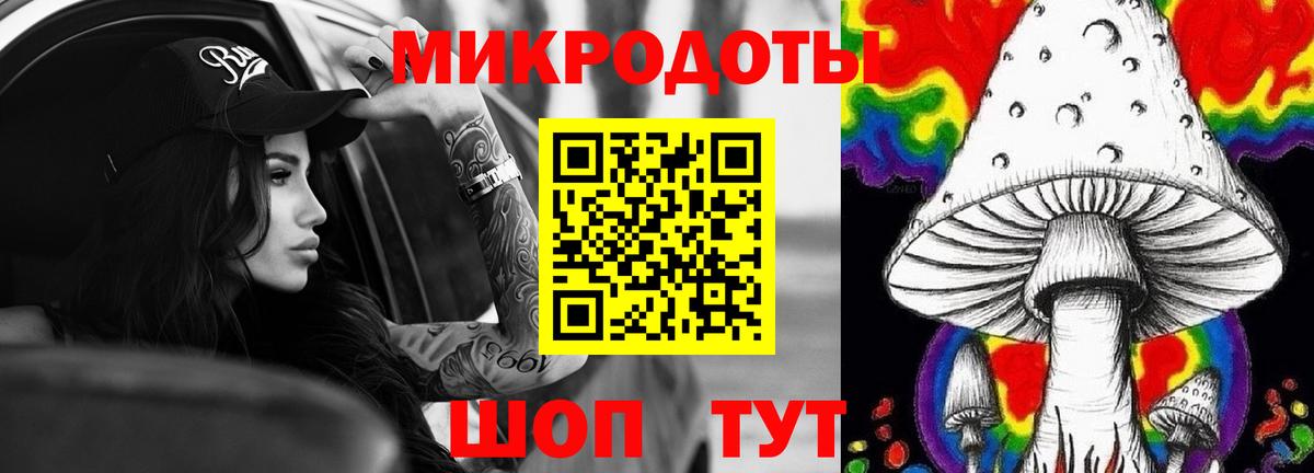 Галлюциногенные грибы Cubensis  Вход с VPN  Кузнецк  Псилоцибиновые грибы Psilocybe 